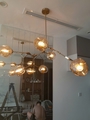 Đèn chùm Lindsey ngang thân mạ đồng 7 chao thủy tinh hổ phách đui E27x7(chưa bóng)_TH155, KT(mm):